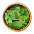 Fresh peppermint leaves in wooden bowl