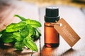 Fresh peppermint and oil on wooden background Royalty Free Stock Photo