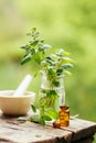 Fresh peppermint and peppermint oil. Royalty Free Stock Photo