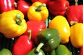 Fresh peppers Royalty Free Stock Photo