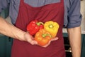 Fresh peppers vegetables in hand of chef. Diversity ingredients. Peak season purchasing ensure your vegetables more Royalty Free Stock Photo