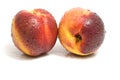 Fresh perfect looking nectarines Royalty Free Stock Photo