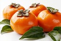 Fresh persimmon fruit isolated on white background perfect for high quality advertising