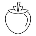Fresh persimmon icon, outline style