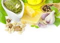 Fresh Pesto and its ingredients / isolated