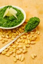 Fresh pesto on a spoon Royalty Free Stock Photo