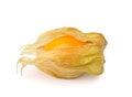 Fresh physalis cape gooseberry on white