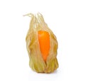 Fresh physalis cape gooseberry on white Royalty Free Stock Photo