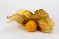 Fresh Physalis Fruit, Cape Gooseberry Royalty Free Stock Photo