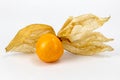 Fresh Physalis Fruit, Cape Gooseberry Royalty Free Stock Photo