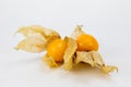 Fresh Physalis Fruit, Cape Gooseberry Royalty Free Stock Photo