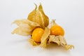 Fresh Physalis Fruit, Cape Gooseberry Royalty Free Stock Photo