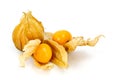 Fresh Physalis Fruit, Cape Gooseberry Royalty Free Stock Photo