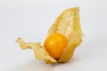 Fresh Physalis Fruit, Cape Gooseberry Royalty Free Stock Photo