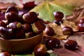 fresh pick chestnuts from the forest Royalty Free Stock Photo