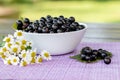 Fresh picked black currant berries and camomile flowers on a table outdoors in the garden, summer farm food, vitamins and harvest