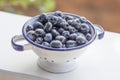 Fresh picked Blueberries sieve Royalty Free Stock Photo