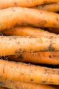 Fresh picked carrots close up backgrounds Royalty Free Stock Photo