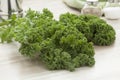 Fresh picked curly kale Royalty Free Stock Photo
