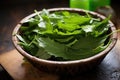 fresh picked dandelion leaves in a salad bowl