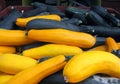 Fresh yellow and green zucchini lying in box. Royalty Free Stock Photo