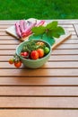 Fresh picked grape tomatoes and okra with an okra leaf Royalty Free Stock Photo