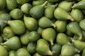 Fresh picked green unripe figs close up full frame Royalty Free Stock Photo