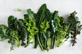 Fresh picked greens from the garden, collards, kale, broccoli Royalty Free Stock Photo