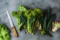 Fresh picked greens from the garden, collards, kale, broccoli.