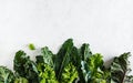 Fresh picked greens from the garden, collards, kale, broccoli Royalty Free Stock Photo