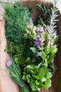 Fresh picked herbs from kitchen garden: chives, mint, thyme, rosemary, dill, sage with edible purple flowers Royalty Free Stock Photo