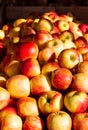 Fresh Picked Jonagold Apples at a Local Market