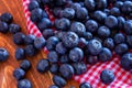 Fresh picked organic blueberries Royalty Free Stock Photo