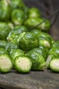 Fresh picked organic Brussels sprouts Royalty Free Stock Photo
