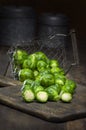 Fresh picked organic Brussels sprouts Royalty Free Stock Photo