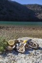 Fresh picked oysters and organic lemon and mediterranean herbs