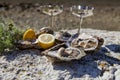 Fresh picked oysters on sea coast with silver glasses