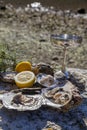 Fresh picked oysters on sea coast with silver glasses