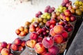 Fresh picked peaches and plums in wooden basket on shelves display at roadside market stand in Santa Rosa, Destin, Florid,