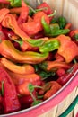 Fresh picked Red Chili Peppers at farmers market in Espanola New Mexico USA Royalty Free Stock Photo