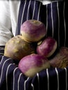 Fresh picked Swedes and Turnips Royalty Free Stock Photo