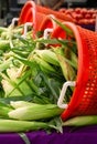 Fresh picked sweet corn in red baskets