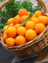 Fresh Picked Valencia Oranges Angled View