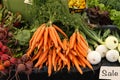 Fresh picked vegetables for sale at a farmer's market Royalty Free Stock Photo