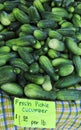 Fresh Pickle Cucumbers Royalty Free Stock Photo