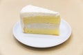 Fresh piece of coconut cream cake