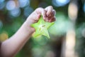 Fresh piece of star fruit carambola or averrhoa carambola in asian girl child hand