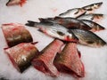 Pieces of cut carp and sea bass Royalty Free Stock Photo