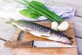 Fresh pike with onions and greens on the cutting Board. Raw fish prepared for cooking Royalty Free Stock Photo