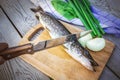 Fresh pike with onions and greens on the cutting Board. Raw fish prepared for cooking Royalty Free Stock Photo